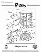 Coloring Peas Printable Kids Children Food Sheets Hero Pages Choose Board Childrens Colouring Sheet sketch template