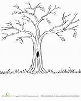 Bare Traceable Worksheet Baum Drzewo Branches Schablone Herbst Arbol árbol Wandbemalung Pintar Arbres Mariage Malen Vorlage Zeichnung Sheets Arbre Coloriage sketch template