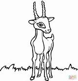 Antilope Oryx Kolorowanki Antylopa Antilopes Antylopy Antelope Pintarcolorir Categorieën sketch template