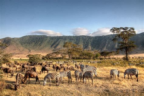 cratere del ngorongoro tanzania guida ai luoghi da visitare lonely planet