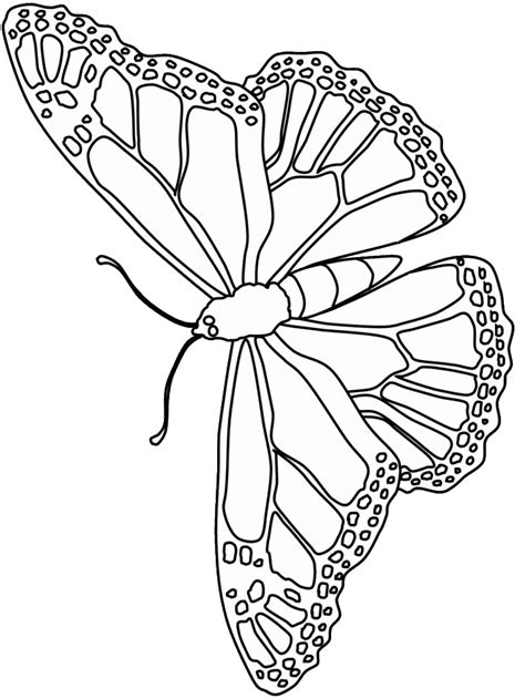 butterfly coloring pagesfree printable butterfly coloring pages