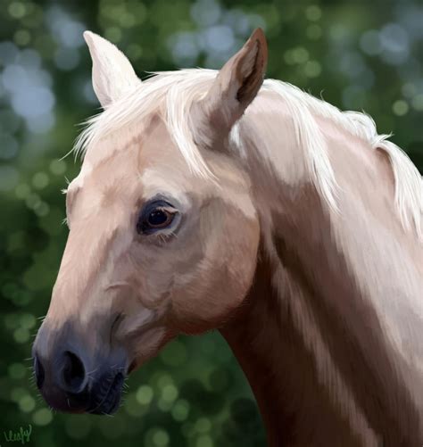 horse realism study  streamwhisker  deviantart