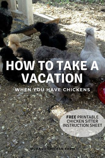 chickens owners can vacation printable instruction sheet