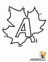 Leaf Coloring Printout Fall Letters Alphabet Pages Popular Library Clipart Coloringhome sketch template