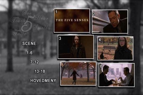 The Five Senses [1999][dvd R2][spanish] Tododvdfull