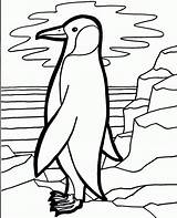 Coloring Penguin Pages Template Printable Tacky Print Templates Kids Dot Popular sketch template