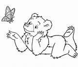 Beren Orsetti Kleurplaten Kleurplaat Ours Maurice Mewarnai Beruang Coloriages Sendak Animaatjes Bergerak Disegno Settemuse Orsi Colora Pagina Bewegende Animaties Animate sketch template