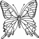 Butterfly Coloring Pages Clipart Butterflies Clipartbest Cute Colouring Color Printable Printables Easy Drawing Drawings Flowers Colour Draw sketch template