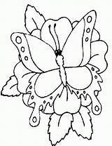 Vlinder Kleurplaten Kleurplaat Vlinders Colorat Schmetterling Farfalle Animale Fleur Fluturasi Dieren Papillon Papillons Malvorlagen Planse Borboletas Coloring Animaatjes Mariposa Malvorlagen1001 sketch template