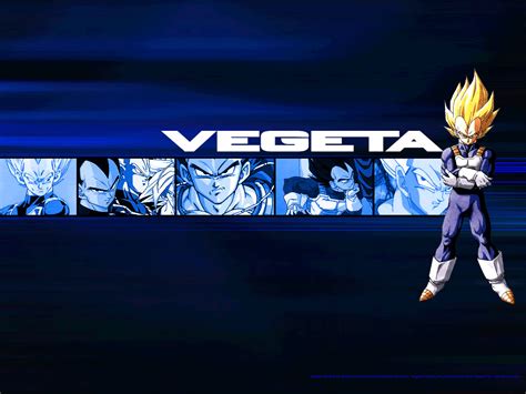 best 55 vegeta desktop backgrounds on hipwallpaper awesome vegeta wallpaper vegeta wallpaper