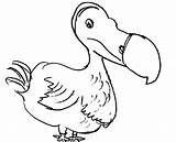 Dodo Bird Coloring Pages Kids Netart 65kb 486px sketch template