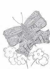 Coloring Butterfly Summer Adult sketch template