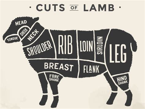 main cuts  lamb  buyers guide trubeef organic