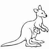 Coloring Kangaroo Pages Color Humanoid Sketch Nature Crafts Clip Cute sketch template