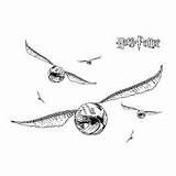 Coloring Potter Harry Pages Snitch Golden Printable Print Kids Draco Malfoy Adventurous Toddler Will sketch template