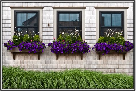 beautifully decorate  windows   attractive home decor ideas