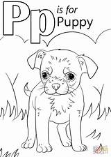 Coloring Letter Pages Puppy Worksheets Preschool Printable Alphabet Letters Words Activities Kindergarten Kids Drawing Literacy Colors sketch template