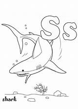 Coloring Shark Pages Baby Print Everfreecoloring Color Getdrawings Getcolorings sketch template