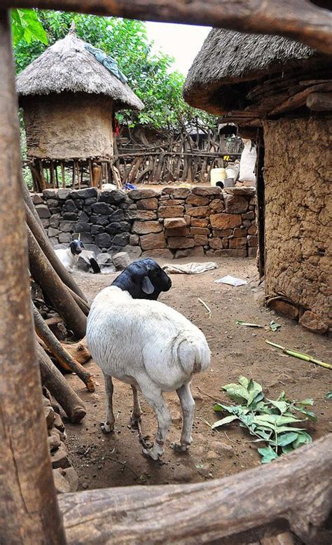 konso village ethiopia in 2019 oromia in east africa ethiopia africa travel horn of africa