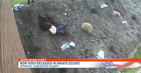 video shows prisoner tazed while escaping police custody whp
