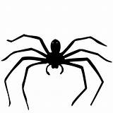 Spider Silhouette Layers Works Brain Part Domain Public Publicdomainpictures Background sketch template