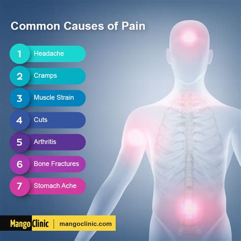 pain types  pain   treatment mango clinic