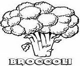 Broccoli Coloring Pages Vegetable Printable sketch template