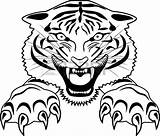 Tiger Tattoo Outline Drawing Roaring Clipart Line Stock Vector Tigres Illustration Clip Eyes Drawings Head Cliparts Jumping Stencil Tigre Desenhos sketch template