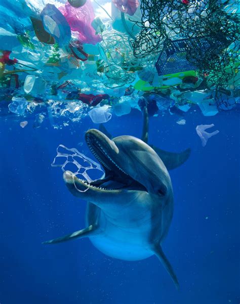 plastic pollution sea  source national geographic society