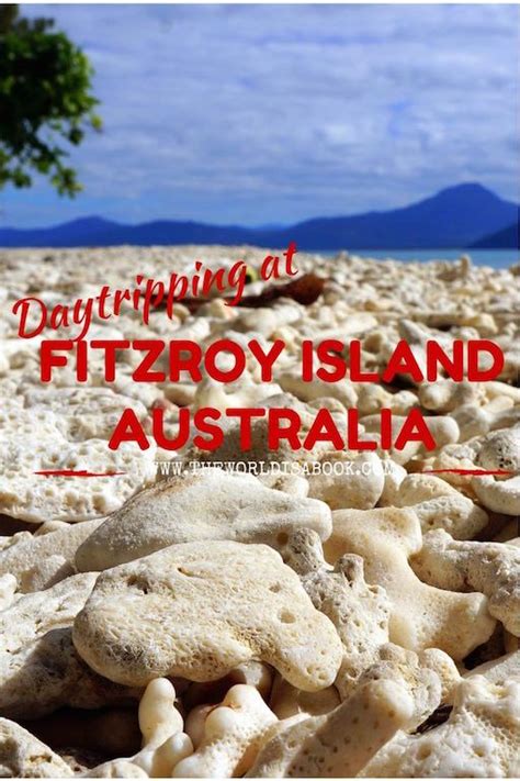 Daytripping At Fitzroy Island Australia The World Is A