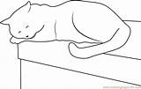 Cat Table Coloring Sleeping Pages Coloringpages101 Cats sketch template