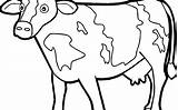 Coloring Pages Cow Calf Beef Printable Getdrawings Cattle Getcolorings Cute Colorings sketch template