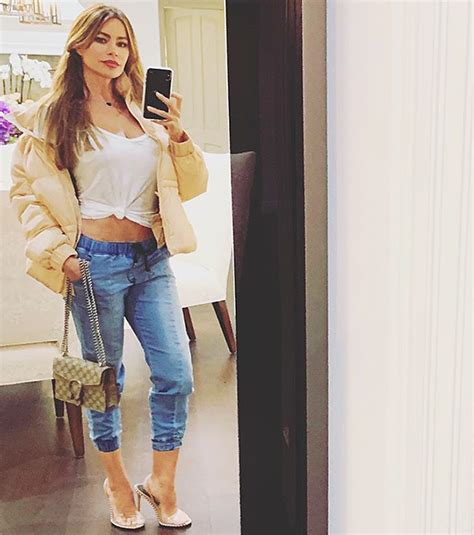 Sofia Vergara Abs And Stomach Are Incredible In Her New Sexy Selfie