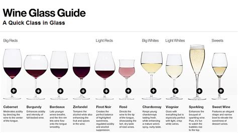 Wine Glass Guide Crateandbarrel