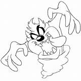 Taz Looney Tunes Tazmanian Getcolorings Coloringhome Mania sketch template