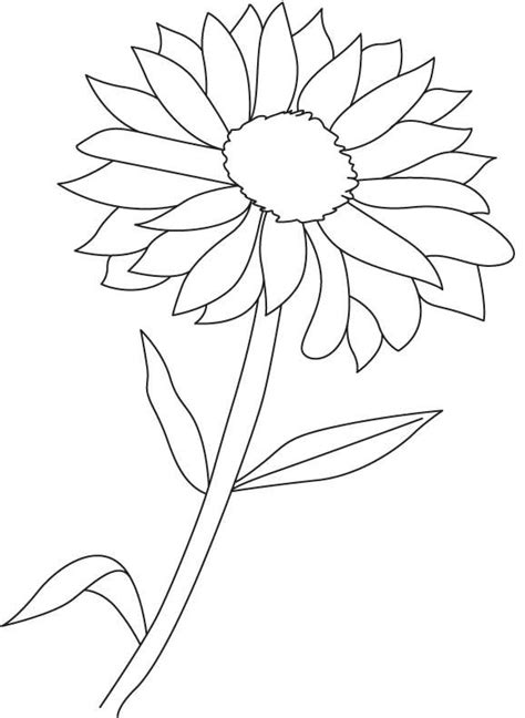flowering plant coloring page coloring sheets coloring pages  kids