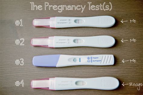 Pregnant With A Negative Test Xxx Sex Images