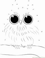 Owls Connectthedots101 Colorings Owlet Siblings sketch template