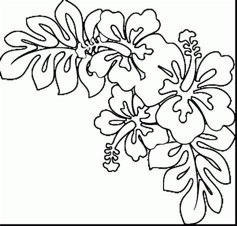 hawaii flowers drawing  getdrawings