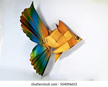 fish form stock photo  shutterstock