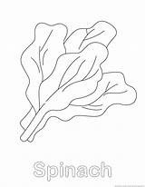Spinach Coloring Pages 123coloringpages Vegetable sketch template