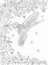 Hummingbird Mandalas Dibujos Colibri Preston Lizzie Bordar Representing Hummingbirds Terapia sketch template