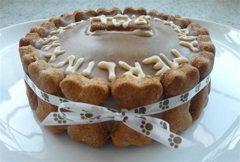 cake  dogs recipe  dog friendly birthday cake  absolutely