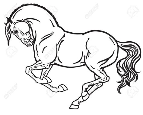 horse stallion  gallop side view outline black  white vector