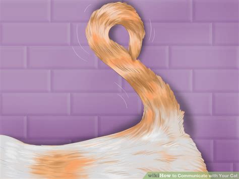 Wikihow Sex Works