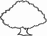 Tree Oak Outline Coloring Clipart Printable Clip Drawing Old Trees Simple Cartoon Cliparts Sketch Kids Pages Use Library Color Print sketch template
