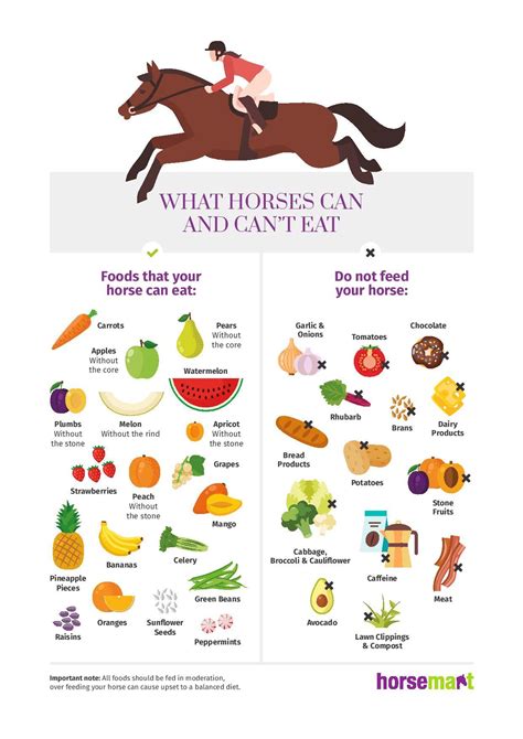 info graph  horses   eat horse nation