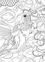 Advanced Color Coloring Pages Number Getcolorings Nu Printable Print sketch template