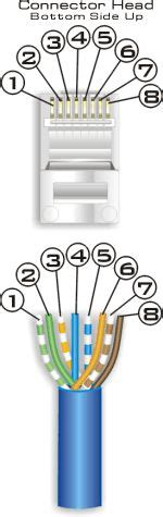 ethernet connector wiring diagram wiring diagram ethernet port  cable cat rj wrg base