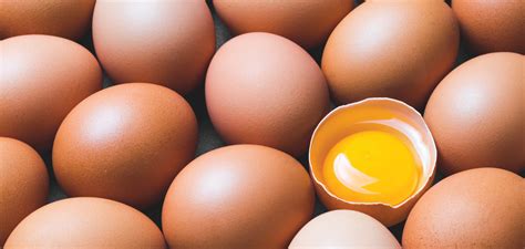 myth  egg yolk colour  feed  diet influence colour epol